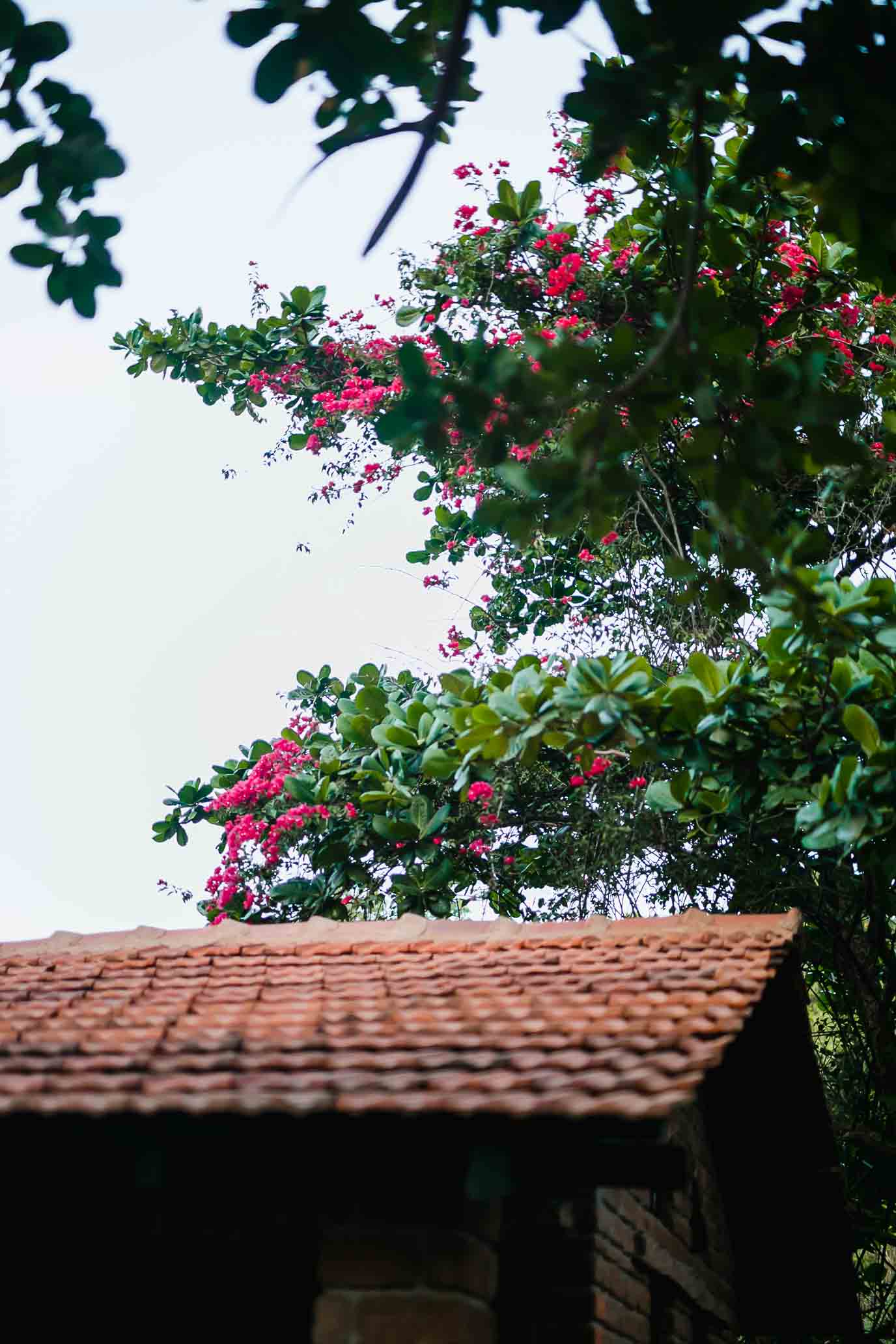 Auroville