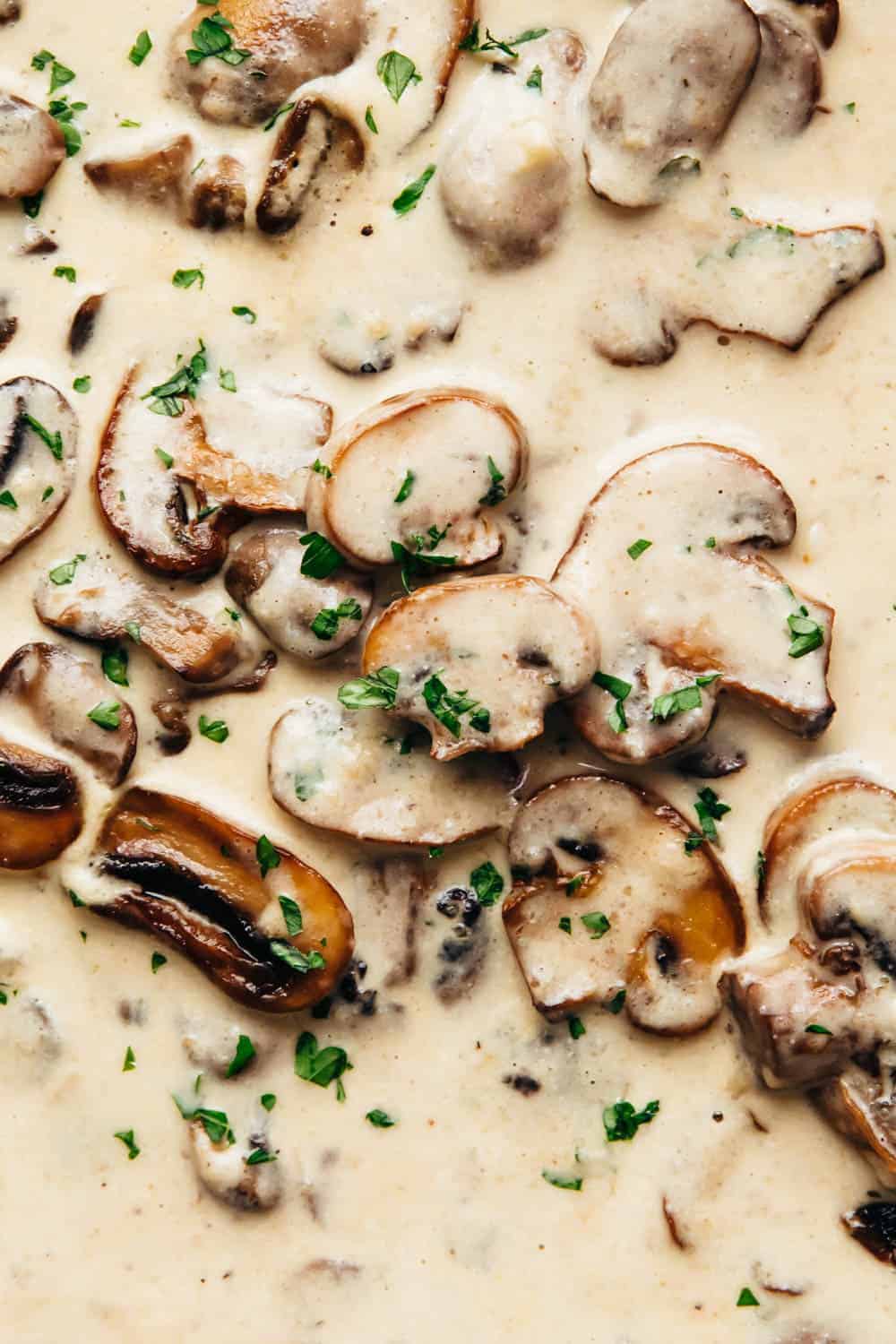 Closeup of creamy parmesan mushroom sauce