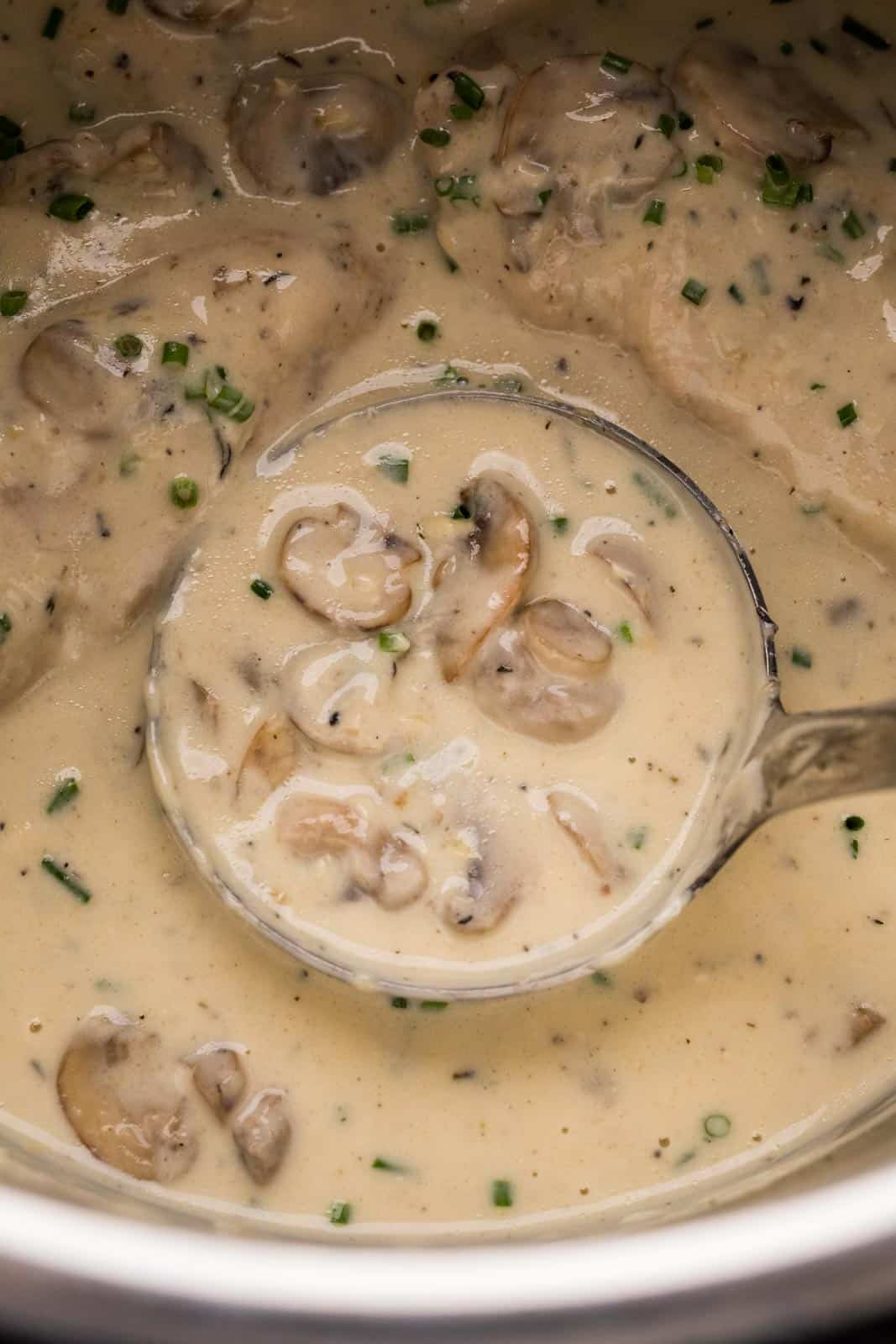 Closeup of the parmesan mushroom sauce