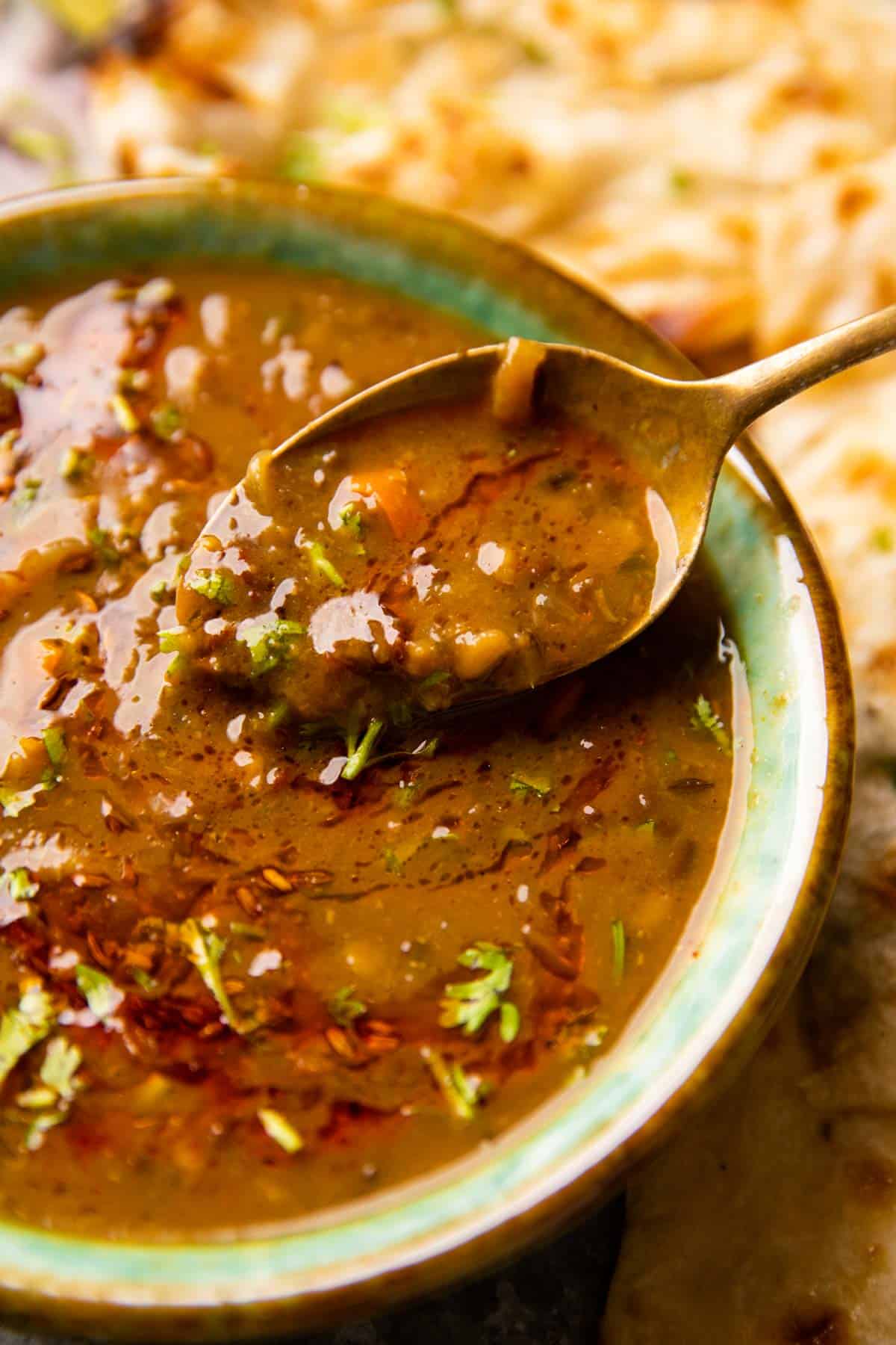 Closeup picture of a spoonful of dal to show the creamy texture