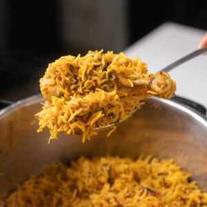 shot of a spoon full of chicken biryani in the instant pot