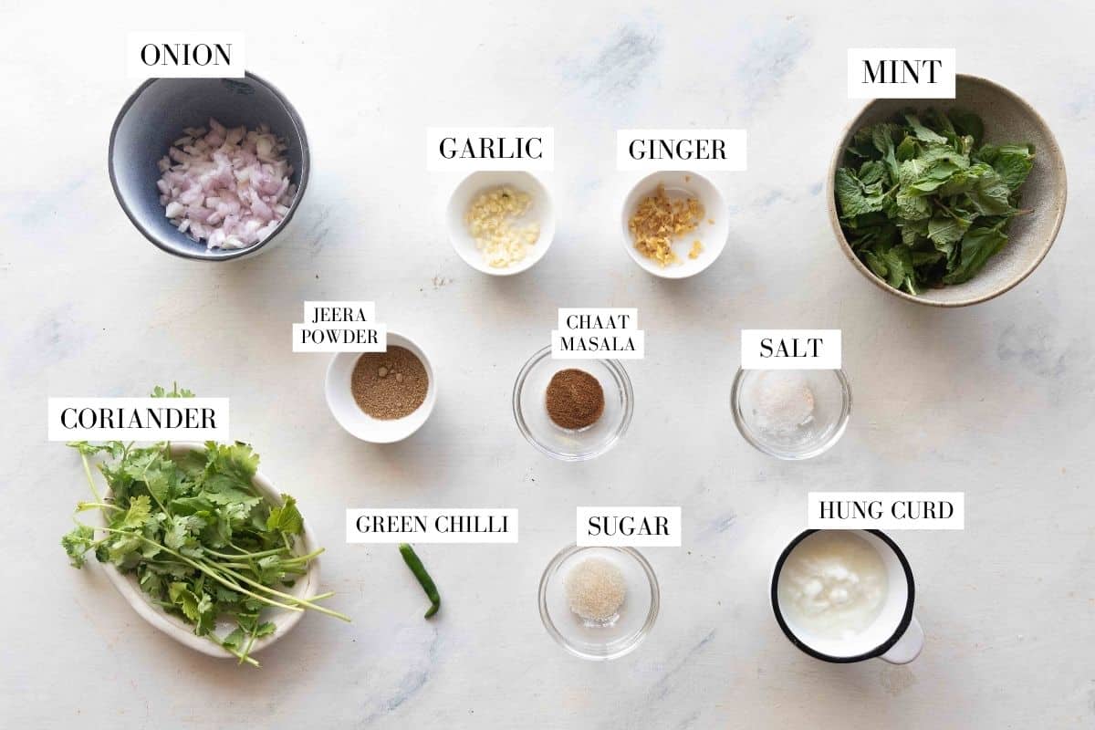 mint chutney ingredient shot