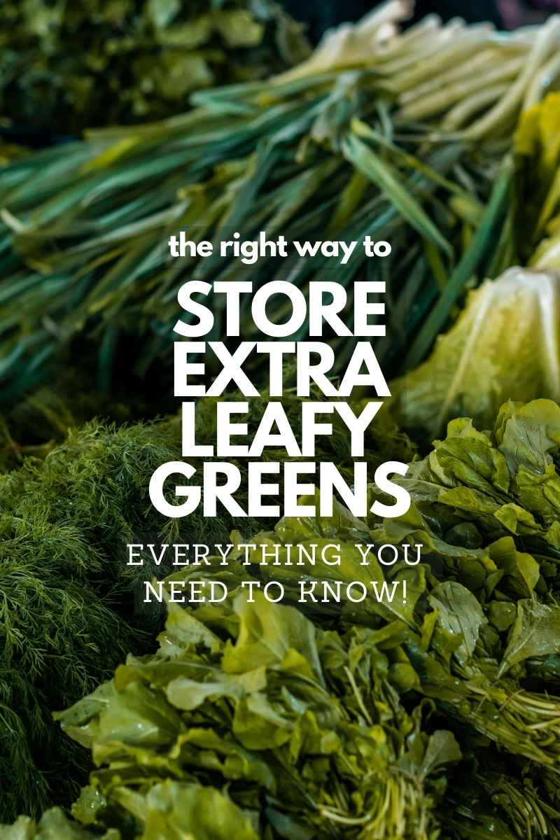 different types of leafy greens with text overlay