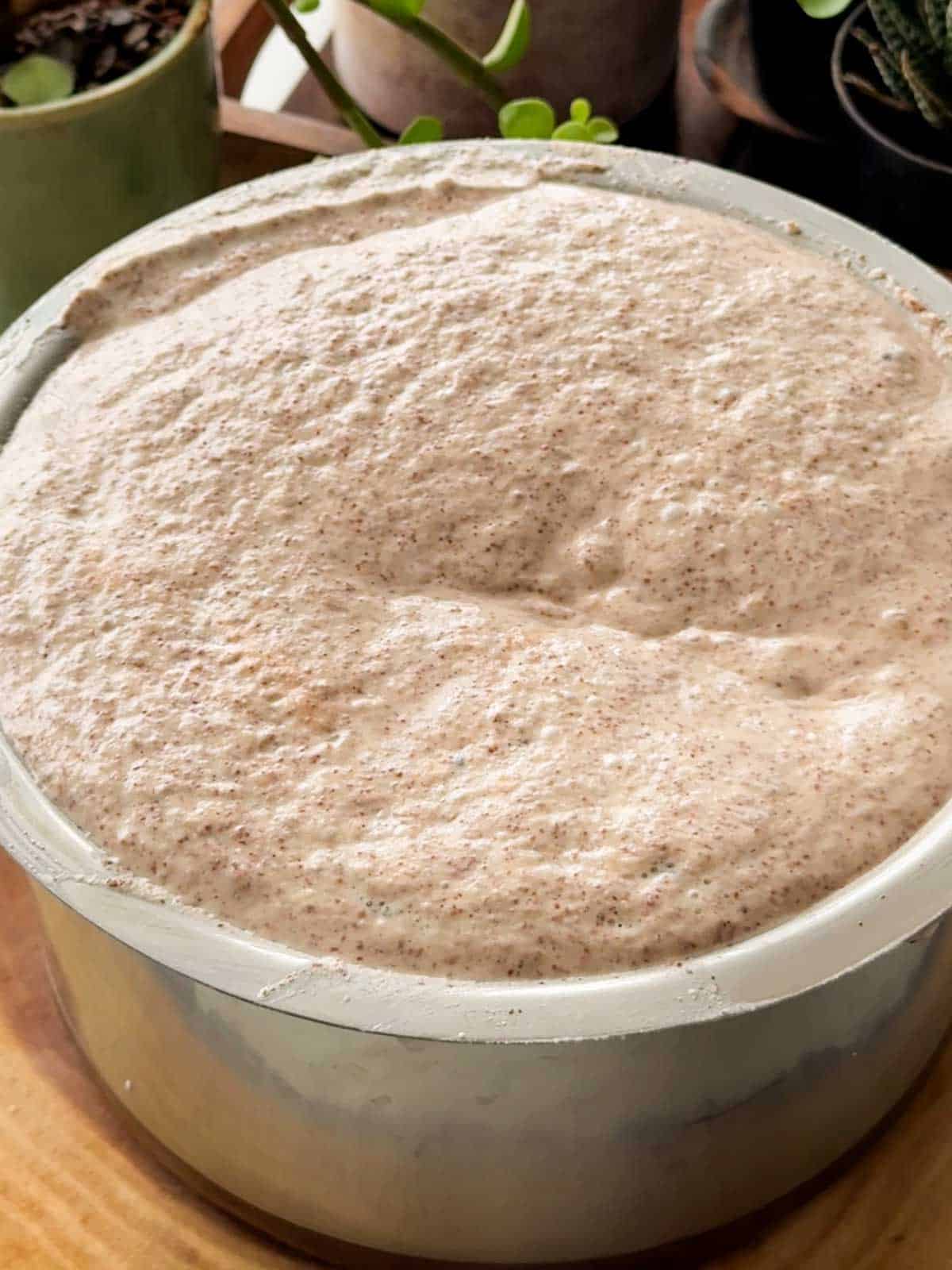 an image of fermented ragi idli dosa batter